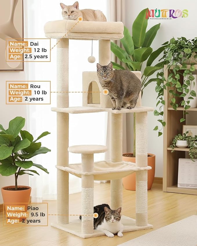 Cat Tree for Large Cats Adult - Image 2