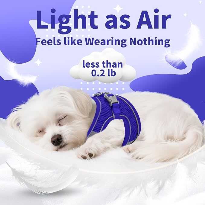 AIITLE Step in Dog Harness and Leash Set - Image 10