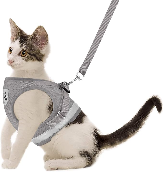 Cat Harnesses and Puppy Harness by GAUTERF