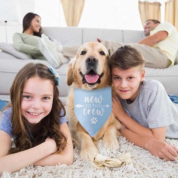 New to The Crew Dog Bandana Puppy Gift - Image 4