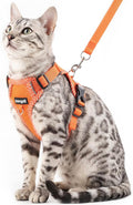 Cat Harness and Leash Escape Proof Large Kitten Harness Ragdoll Cat Vest by pangdi