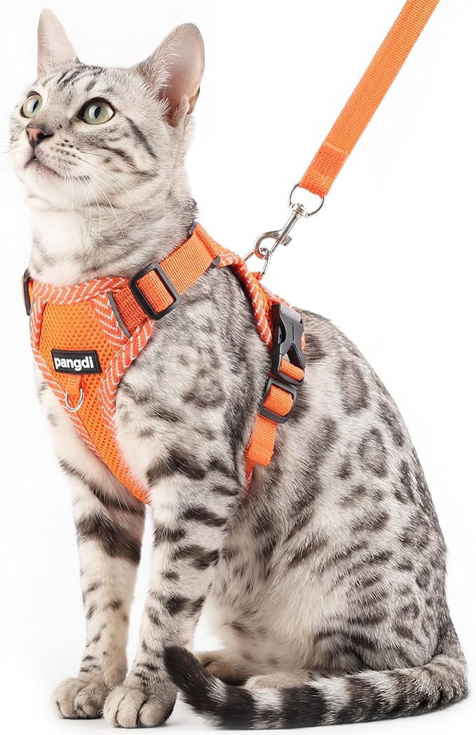 Cat Harness and Leash Escape Proof Extra Large Kitten Harness Maine Coon Cat by pangdi