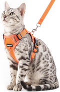 Cat Harness and Leash Escape Proof Extra Large Kitten Harness Maine Coon Cat by pangdi