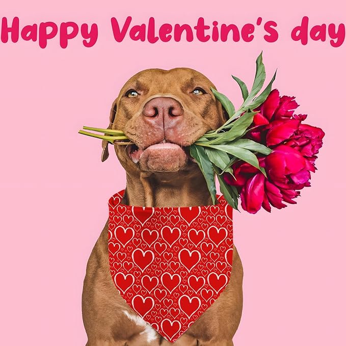 Valentines Dog Bandanas, Heart Red White Heart Dog Scarf, Mother's Day Dog - Image 6