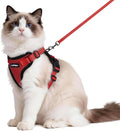 rabbitgoo Cat Harness and Leash by rabbitgoo
