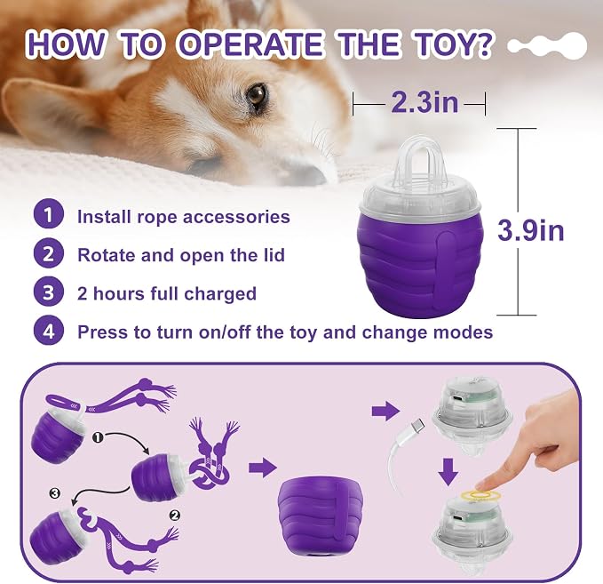 Interactive Dog Toy, Motion Activated Rolling Squeaky Ball - Image 5