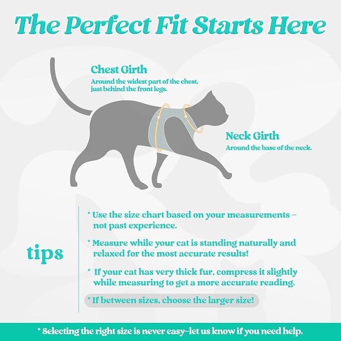 rabbitgoo Cat Harness and Leash Set - Image 2