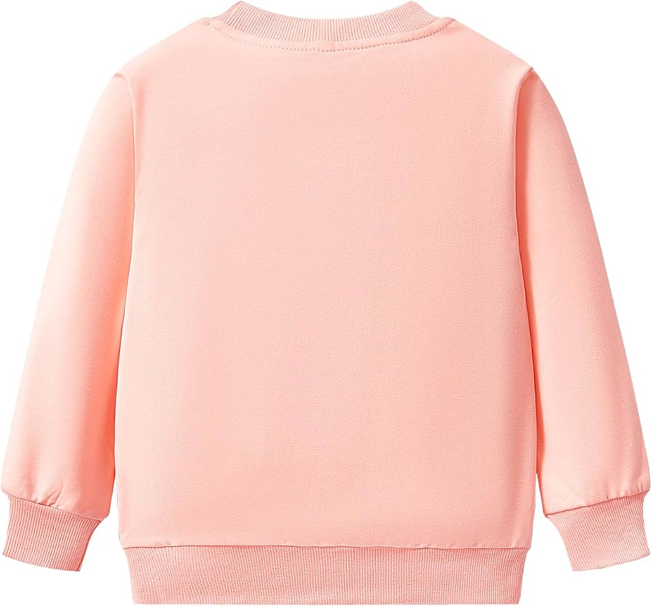 Toddler Baby Girls Cotton Sweater, Long Sleeve Crewneck Sweatshirt Pullover - Image 3