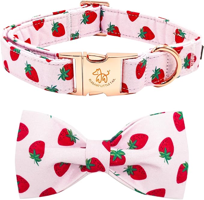 Elegant little tail Dog Collar, Strawberries Print Pet Collar Summer Dog Collar by Elegantlittletail