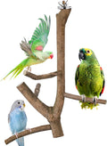 Bird Perch Stand, Natural Vitex Negundo Wood Parrot Perch Bird Cage Branch Perch by Matutinus