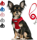 PetiFine Step in Small Dog Harness and Leash Set, Breathable All Weather Air by PetiFine