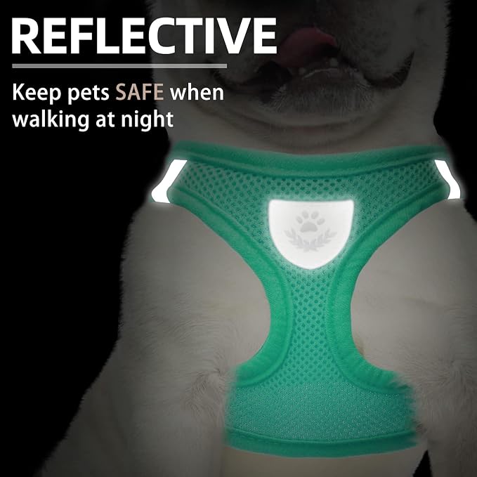 PUPTECK Adjustable Dog Harness Collar and Leash Set Step in No Pull Pet Harness - Image 4