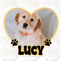 Custom Pet Photo Heart Sticker Personalized Pet Name Decal Cute Pawprint Design by SANGAROM