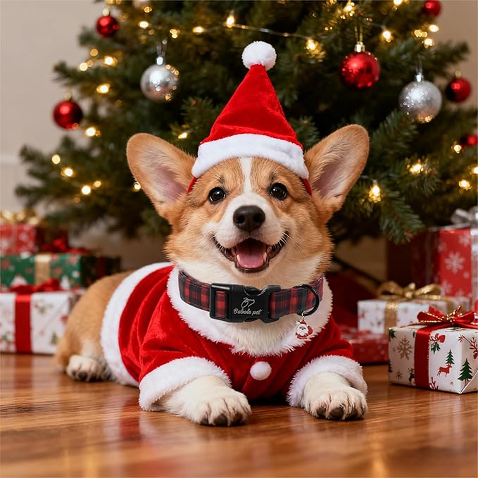 Christmas Dog Collar for Medium Dogs - Image 2