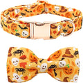 Halloween Dog Collar, Pet Collar Bow Fall Pet Collar Girl Boy Holiday Collar by BoboRainbow