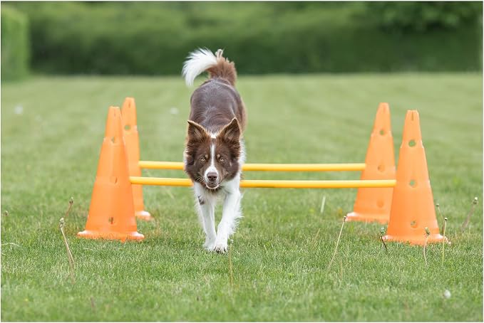 TRIXIE Dog Agility Hurdle Cone Set – Dog Agility Set - Image 6