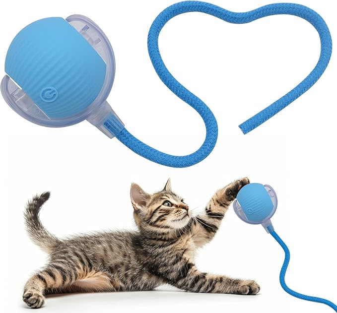 Interactive Cat Dog Toy Ball: Indoor Small Automatic Moving Smart Rolling Fun by AEBDERP