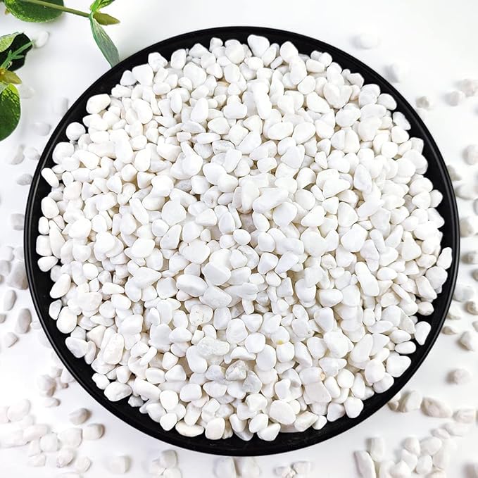 2LB Succulent and Cactus Gravel Pebbles, 1/5 Inch White Natural Decorative by YISZM-ForYourNaturalLife