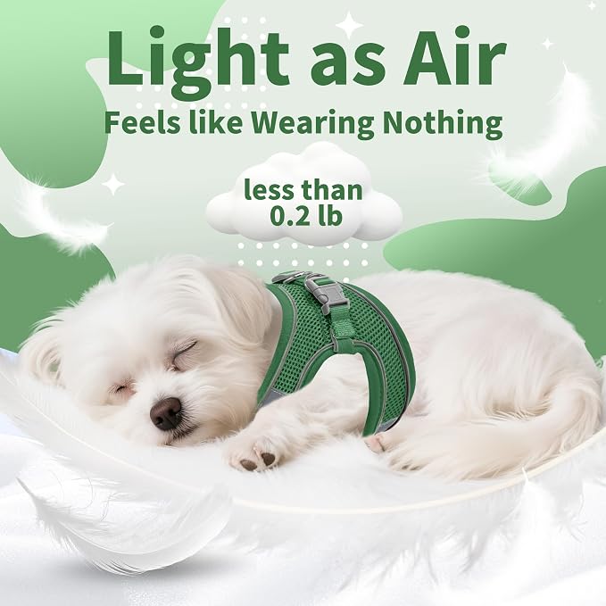 AIITLE No Pull Dog Harness and Leash Set, Step in Adjustable Dog Harness - Image 5