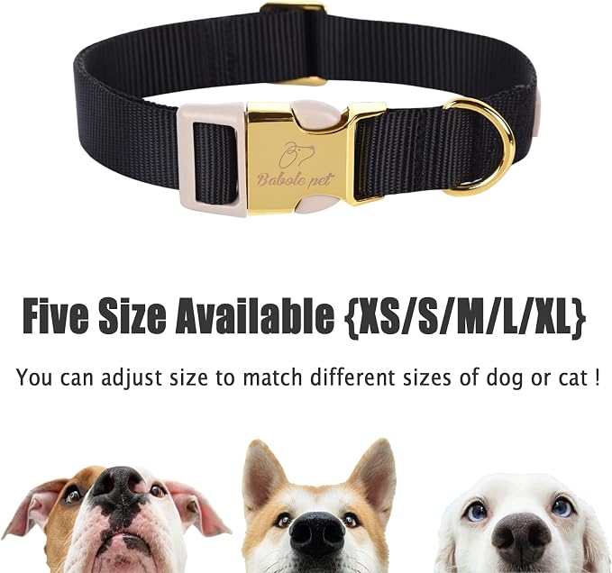 Nylon Dog Collar - Image 6