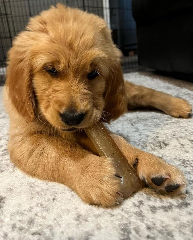 Nylabone Flex Moderate Chew Dog Toy Chicken Small/Regular - Image 2
