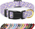Reflective Dog Collar for Extra Small Dogs, Cute Flower Theme Adjustable by TMOODEL