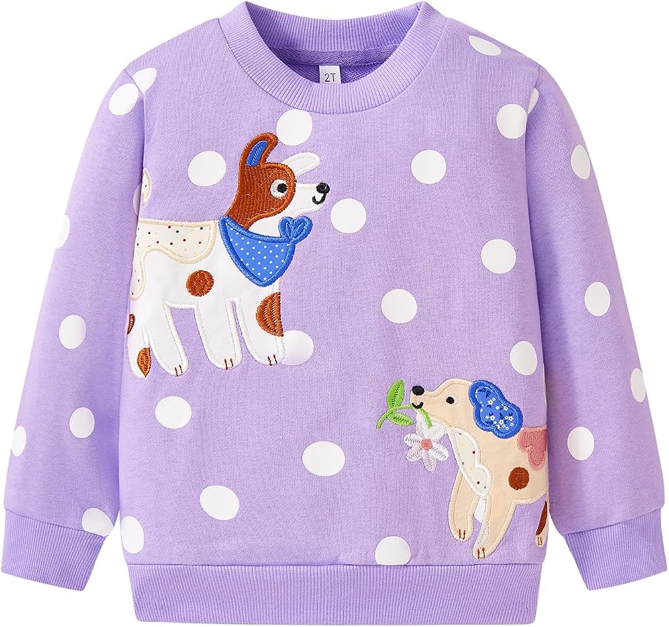 Toddler Baby Girls Cotton Sweater, Long Sleeve Crewneck Sweatshirt Pullover by Unknown