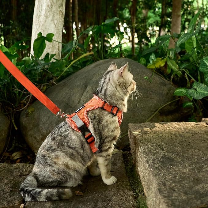 Cat Harness and Leash Escape Proof Extra Large Kitten Harness Maine Coon Cat - Image 8