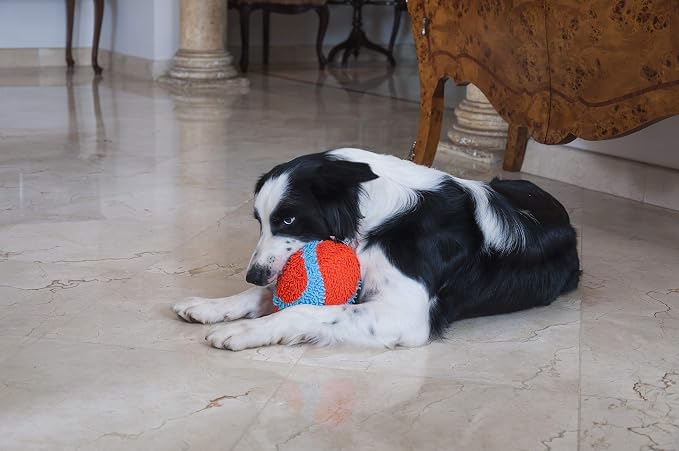Chuckit! Indoor Fumbler Toy for Dogs - Image 2