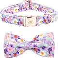 Elegant little tail Dog Collar, Rose Print Pet Collar Summer Dog Collar Durable by Elegantlittletail