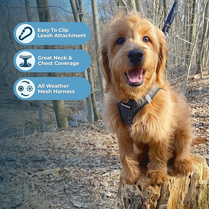 Best Pet Supplies Voyager Step-in Air Harness - Image 3