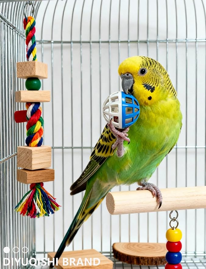 23-Pack Bird Toys for Parrots – Natural Rattan & Plastic Bell Balls – Safe - Image 4