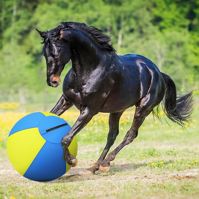 Herding Ball for Dogs and Horses - Image 9