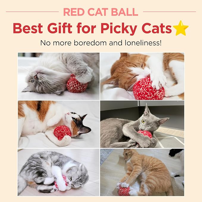JAYU PET Red Cat Ball - Image 3