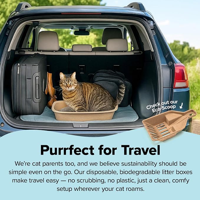 Kitty Sift Disposable Sifting Cat Litter Box Large, Durable and Portable - Image 6
