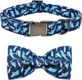 Elegant Little Tail Dog Collar by Elegantlittletail