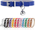 XXS Dog Collar for Teacup Adjustable Teacup Dog Collar for Small Medium Large by Engorgio