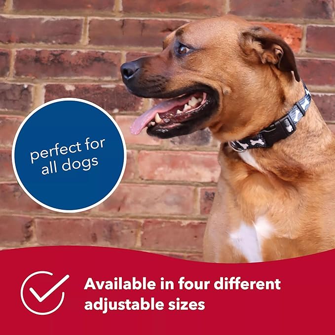 Coastal Pet Styles Adjustable Dog Collar - Image 6