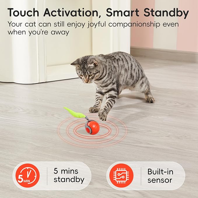 Potaroma Moving Ball Cat Toys - Image 4