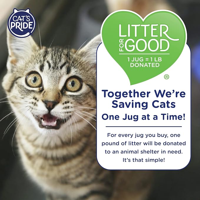 Cat's Pride Max Power: Bacterial Odor Control - Image 6