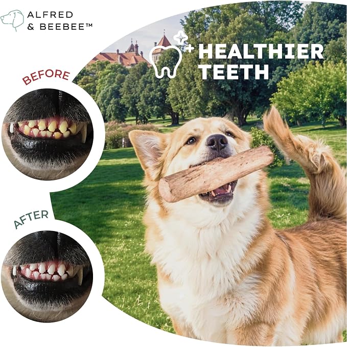 Alfred & Beebee Eco-Friendly Natural Coffee Wood Dog Chew Toy 4 Pack - Image 4