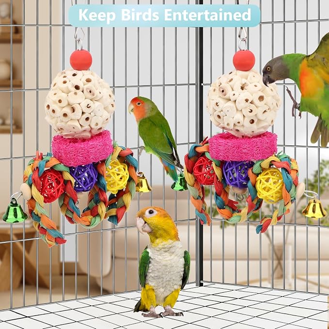 Wontee Bird Toys 3 Pack Parrot Foraging Hanging Toys Sola Ball Natural Nuts - Image 4