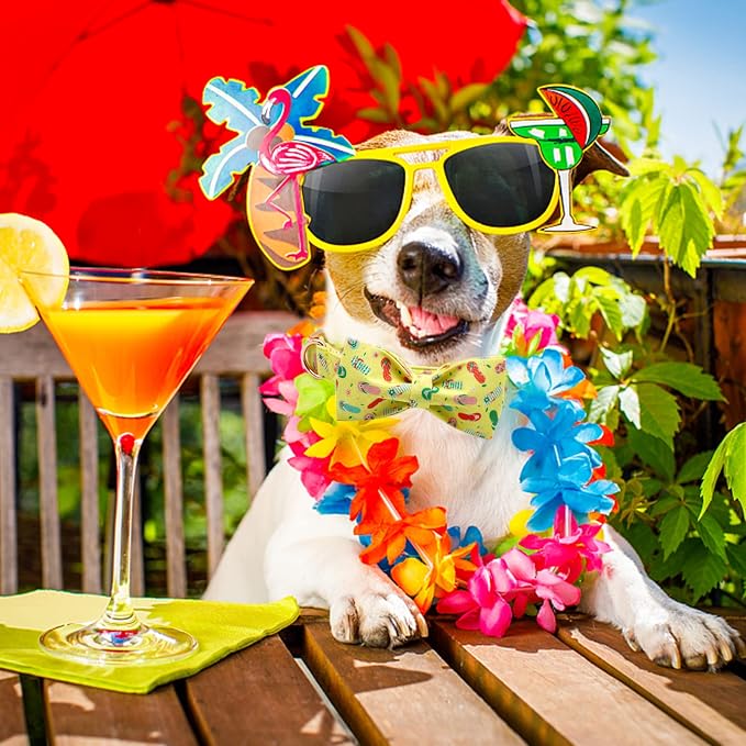 Elegant Little Tail's Cute Bowtie Dog Collar - Image 6
