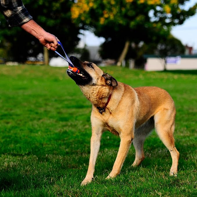 Chuckit! Ultra Tug Dog Toy - Image 2
