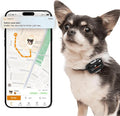 Pawfit Lite for Small Dogs 4g GPS Tracker | Real Time Tracking | Activity by Pawfit