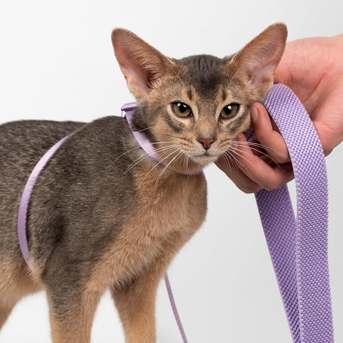 Cat Harness and Leash 2-in-1, Escape Proof Anti-Chocking Harness Adjustable - Image 8
