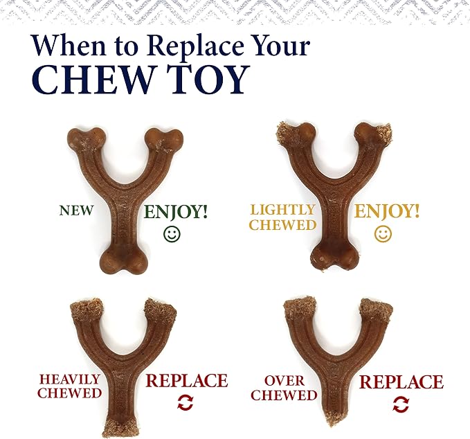 Nylabone Gourmet Style Strong Chew Toy Bundle, Toys - Image 7
