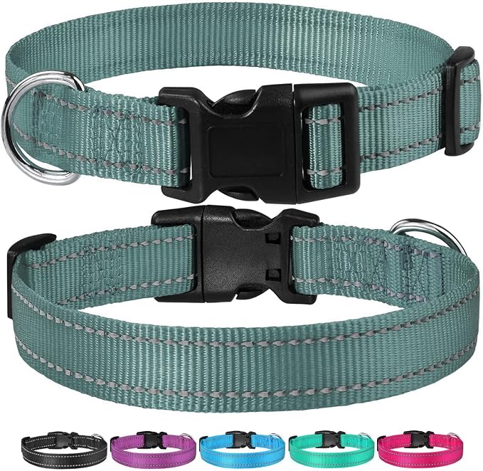 Reflective Dog Collar with Buckle Adjustable Safety Nylon Collars - Image 6