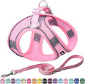 AIITLE Step in Dog Harness and Leash Set by AIITLE-FORPETSBETTERLIFE