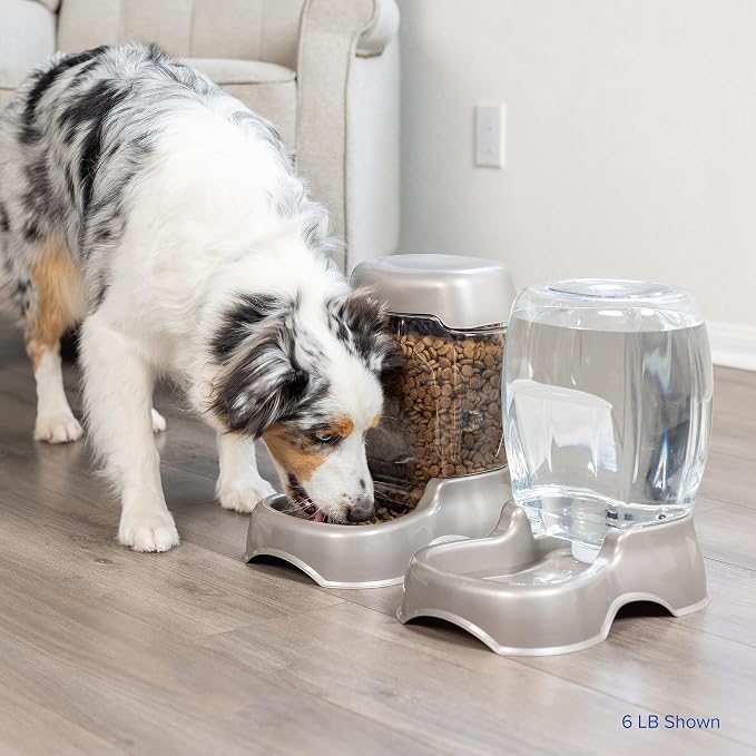 Petmate Pet Cafe Feeder Dog and Cat Feeder Pearlescent Colors 3 Sizes, Made in - Image 7